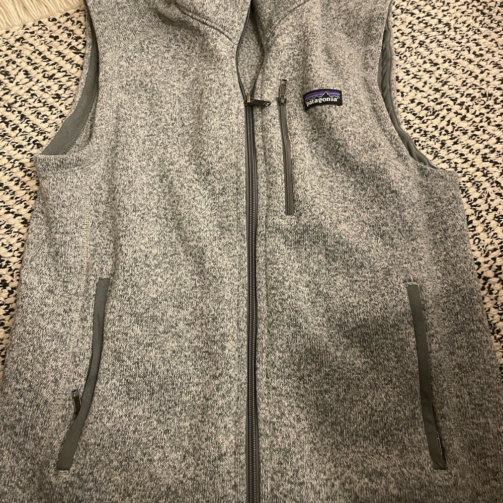 Patagonia Gray Fleece Vest